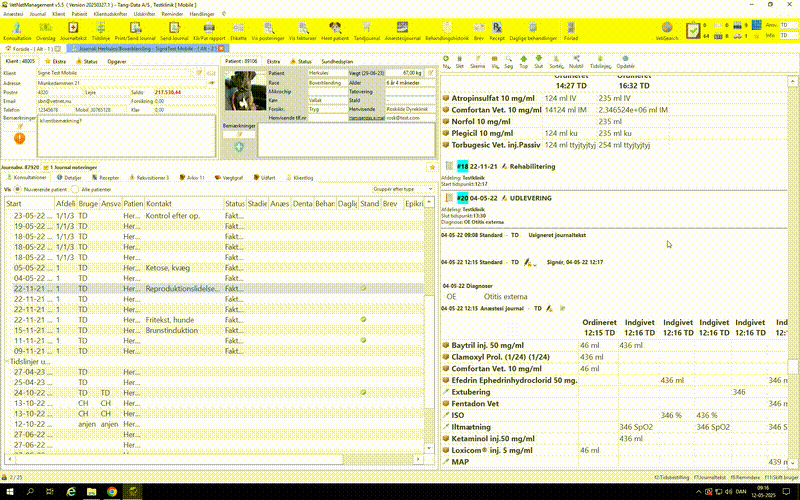 Journal & Behandling demonstration